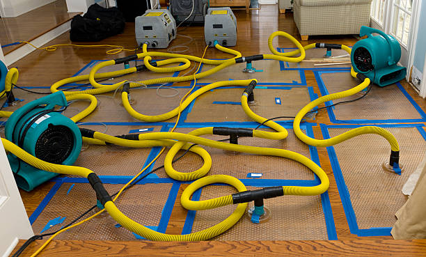 Professional Water Extraction technician working in West Springfield, VA